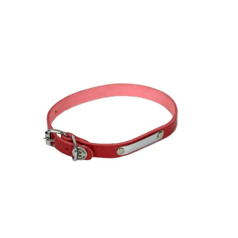 Nouveauté Collier rive Martin Sellier rouge 10-30cm pour chien