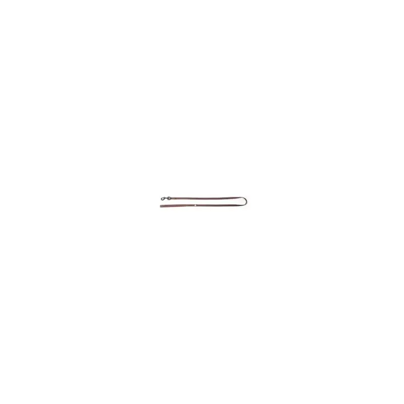 Meilleur Choix Laisse chat flash Martin Sellier marron 10-100cm pour chat