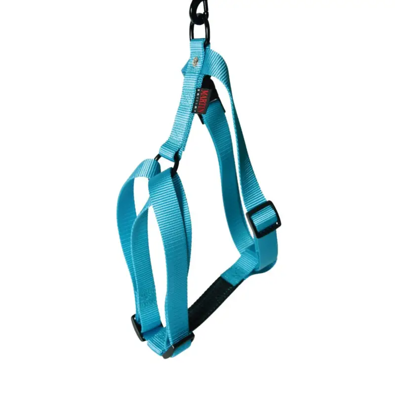 Produit De Marque Harnais nylon réglable Martin Sellier 25-70/90cm turquoise pour chien