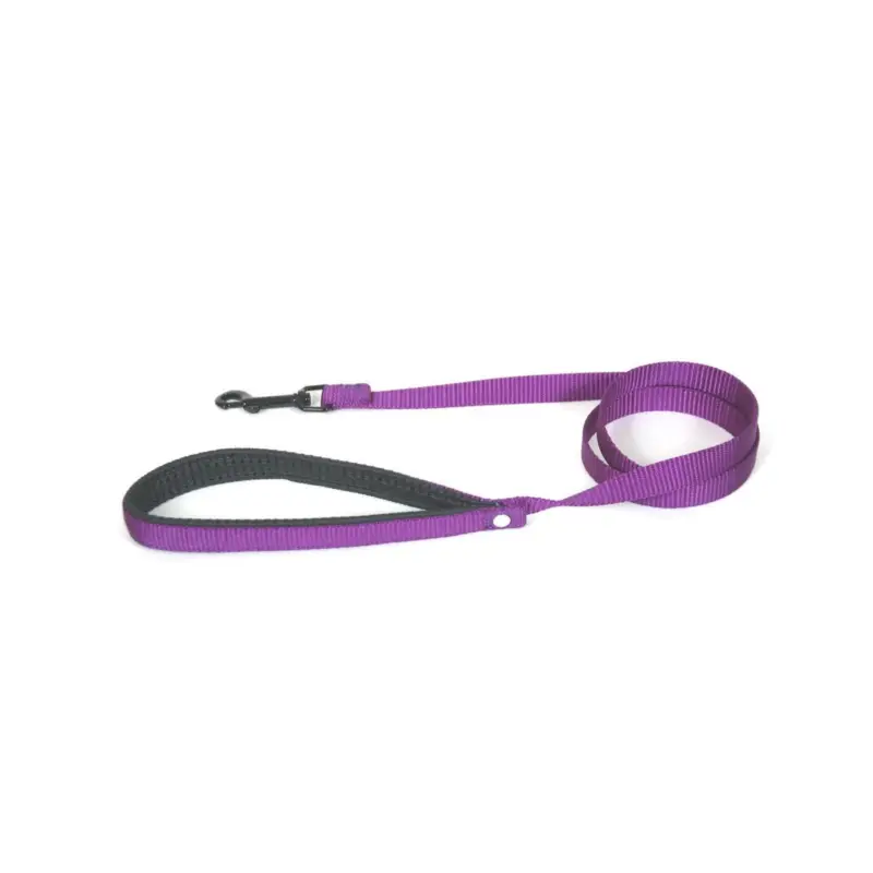 Super Prix Laisse nylon double Martin Sellier 25-120cm mauve pour chien