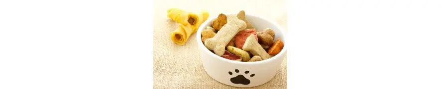 Friandises pour chien Certifié