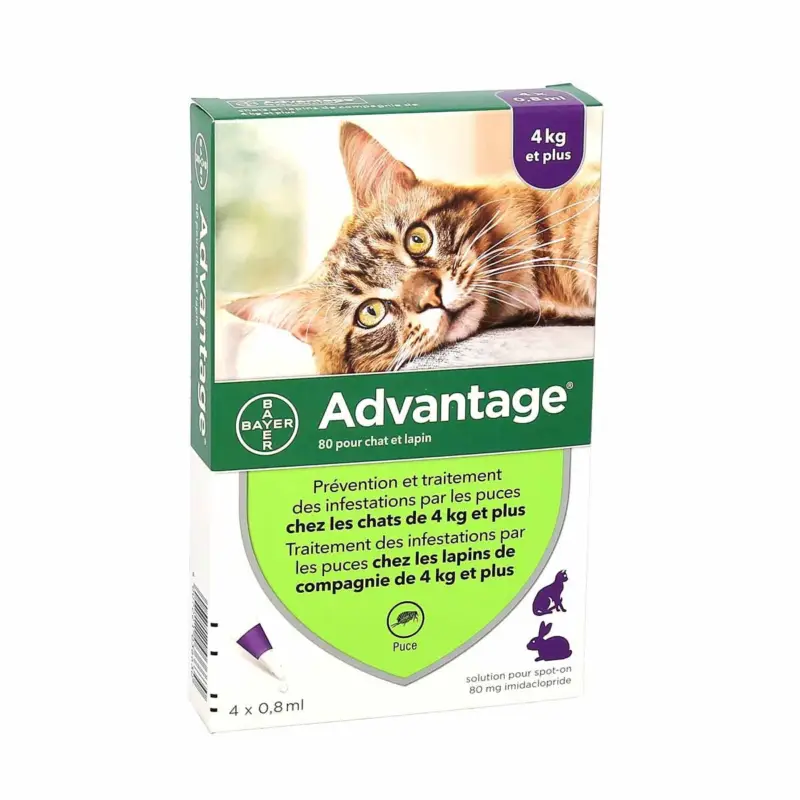 Anti-parasitaire Advantage +4kg 4p pour chat et lapin Offre Spéciale