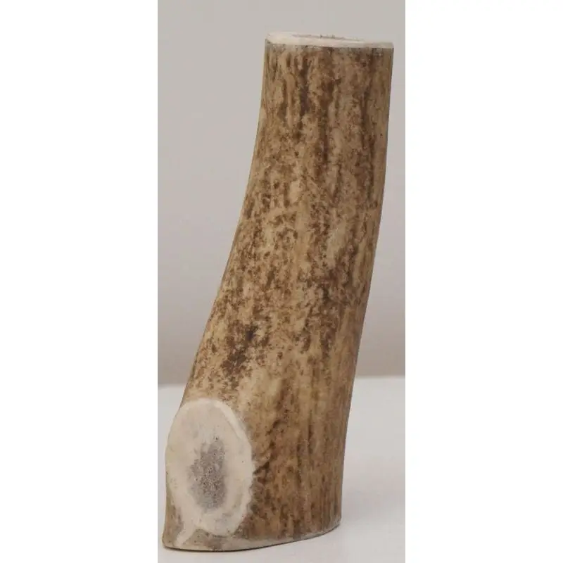 Les Recettes de Daniel Bois de cerf XL friandise pour chien grand Meilleur Choix