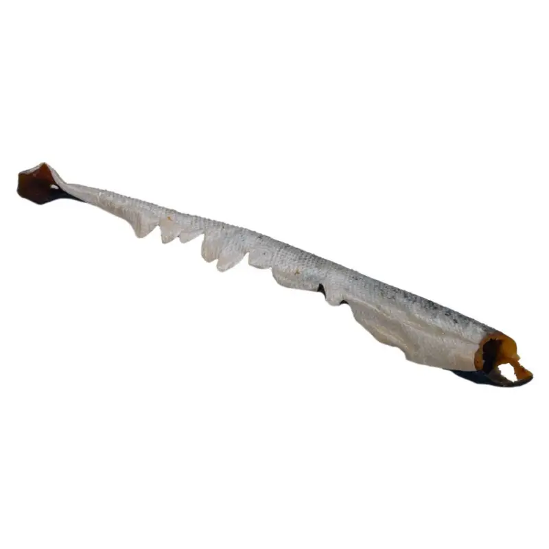 Remise Vadigran Friandise pour chien peau de saumon avec viande 100g 60cm
