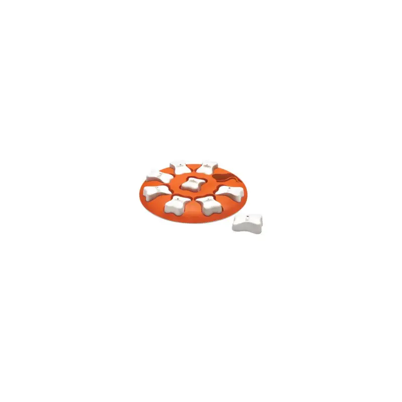 Jeux d&rsquo;intelligence Nina Ottosson dog smart pour chien Livraison Express