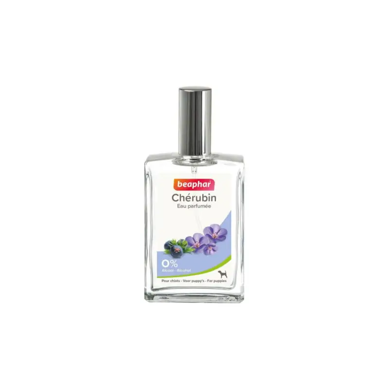 Commander Vite Parfum Beaphar Chérubin eau de toilette 50ml pour chiot