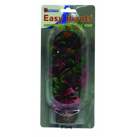 Commander Maintenant Superfish Bettzickiana sp – Plante artificielle pour aquarium