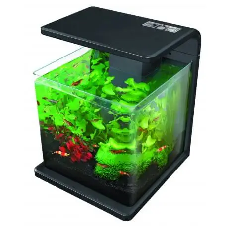 Vente Flash Superfish Wave 15 – Aquarium équipé