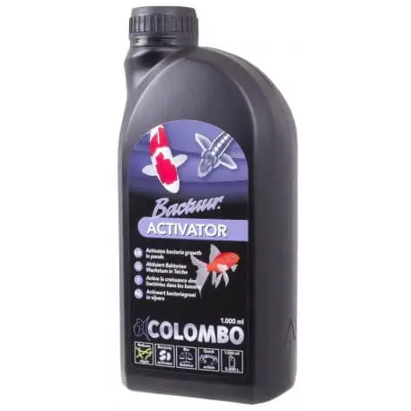 Colombo Bactuur Activator 500ML – Activateur de bactéries Meilleure Vente