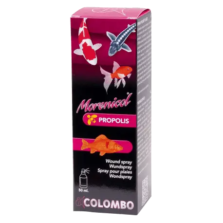 Vente Directe Colombo Morenicol Propolis Wound Spray 50ml – Spray pour traitement des plaies