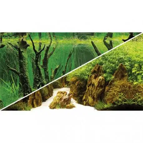 Bon Marché Hobby Poster Canyon / Woodland 60X30cm – Poster aquarium