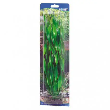 Hobby Vallisneria 46cm – Plantes artificielles Prix Choc