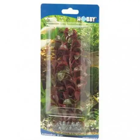 Acheter Direct Hobby Rotala 16cm – Plantes artificielles