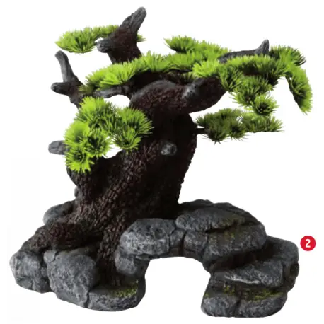 Aqua Della Bonsai ML Jusqu&rsquo;à Épuisement Des Stocks