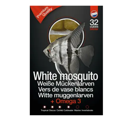 Authentique Dutch Select Vers de vase blancs & Omega3 100gr Lot de 10pcs (1Kg) – Nourriture congelée