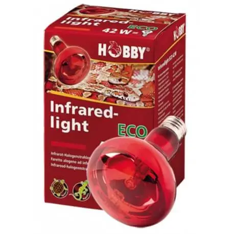 Offre Du Jour Hobby Infraredlight ECO 70W