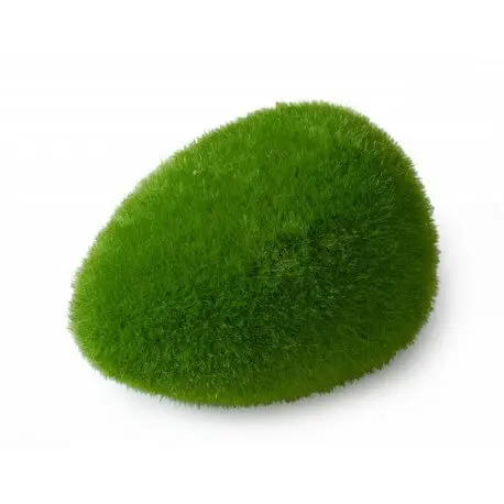 AQUA DELLA MOSS BALL LARGE Livraison Express