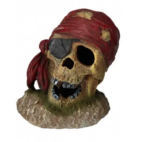 Solde AQUA DELLA PIRATE SKULL EYE-PATCH