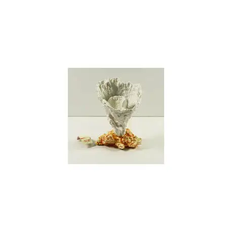 Corail bubble flow blanc Marque