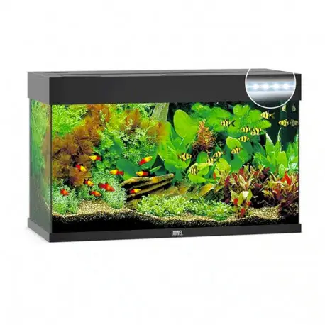 Réduction Juwel Aquarium Rio 125 LED Noir