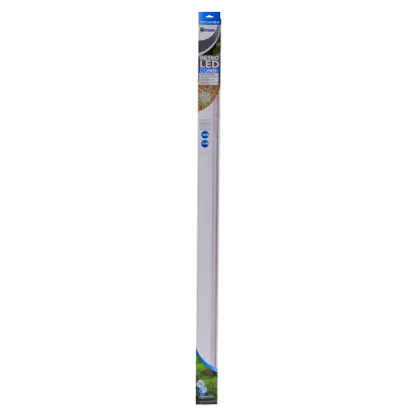 SUPERFISH RETRO LED COMBI T8 & JT5 120CM – 36W – Tube LED Seulement Aujourd&rsquo;hui