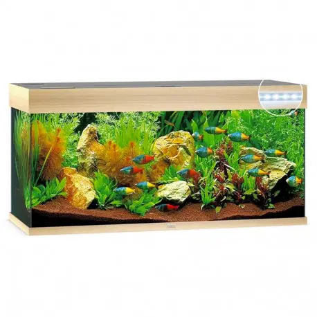 Juwel Aquarium Rio 180 LED Chêne Clair Expédié Aujourd&rsquo;hui