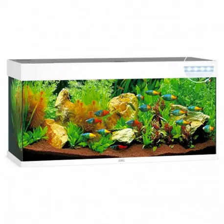 Meilleure Vente Juwel Aquarium Rio 240 LED Blanc