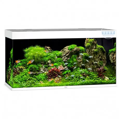Commander Maintenant Juwel Aquarium Rio 350 LED Blanc