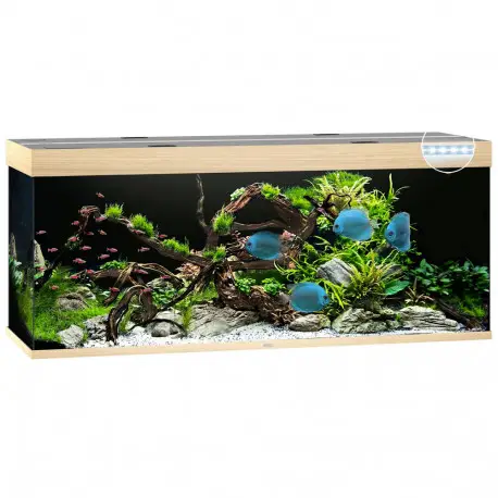 Expédition Rapide Juwel Aquarium Rio 450 LED Chêne Clair