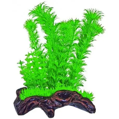 Usine Directe SUPERFISH NANO WOOD GARDEN NR 1