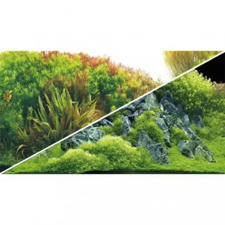 Expédié Aujourd&rsquo;hui Hobby Poster Planted River/Green Rocks 60X30cm – Poster aquarium