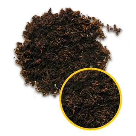 Hobby Terrano Forest 4L – Substrat pour Terrarium tropical humide Nouveauté