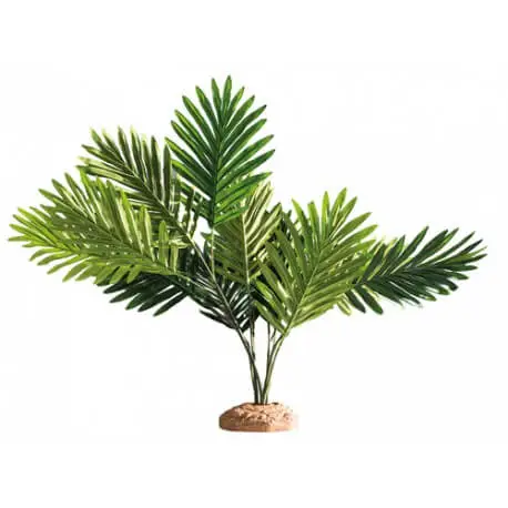 Affaire À Saisir Hobby Palm / Palmier