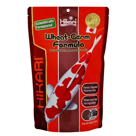 HIKARI WHEAT-GERM MINI 500GR – Nourriture basse température Offre Limitée