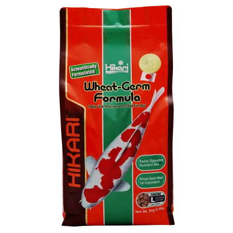 Commander Maintenant HIKARI WHEAT-GERM LARGE 2KG – Nourriture Carpes Koïs
