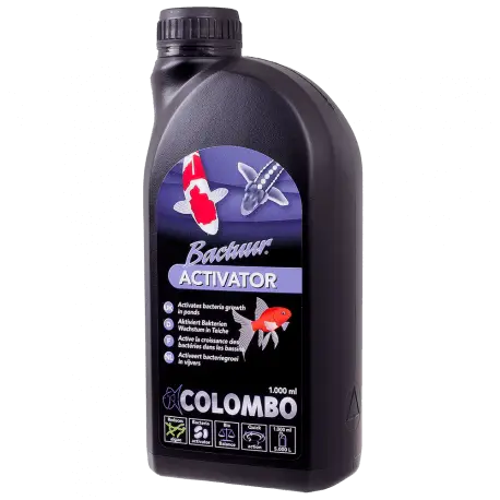 Colombo Bactuur Activator 1000ML – Activateur de bactéries Populaire