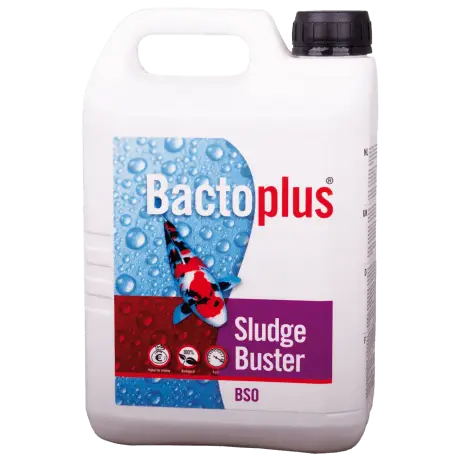 Colombo BactoPlus Sludge Buster BSO 2,5L – Bactéries bassin Pas Cher