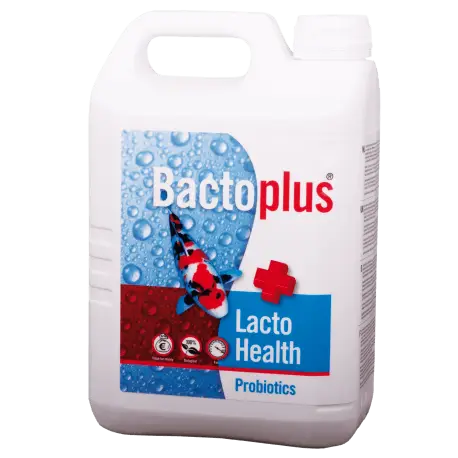 Colombo Bactoplus Lacto Health 2,5L – Bactéries Probiotiques Expédition Rapide
