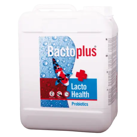 Offre Exclusive Colombo Bactoplus Lacto Health 5L – Bactéries probiotiques