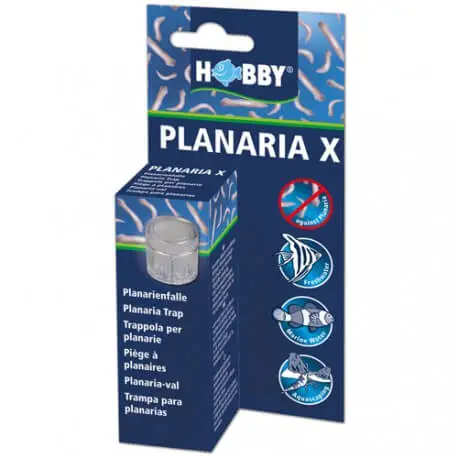 Super Prix Hobby Planaria X – Piège à planaire pour aquarium