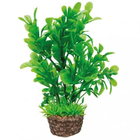 Promotion Saisonnière Hobby Flora Stone 3 – Plante artificielle pour aquarium