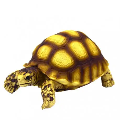 Hobby Turtle 2 – Décoration pour Terrarium Super Prix