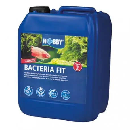 Meilleure Vente Hobby Bacteria Fit 5L – Bactéries pour Aquarium