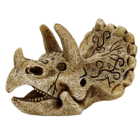 SUPERFISH SKULL TRICERATOPS S Dernier Modèle