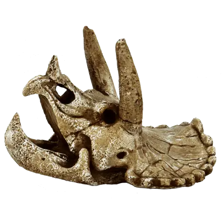 SUPERFISH SKULL TRICERATOPS M Commander Vite