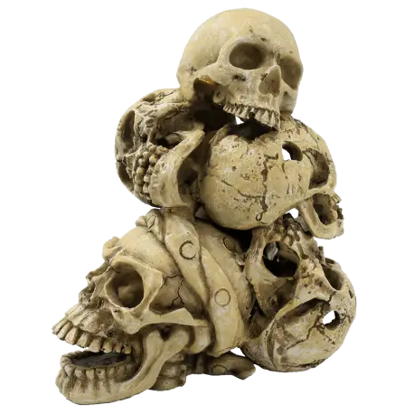 SUPERFISH SKULL MOUNTAIN Meilleur Choix