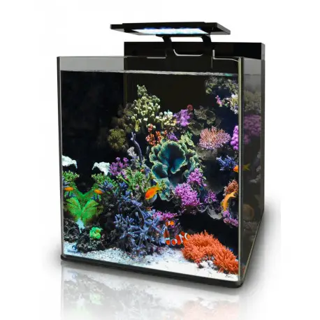 BLUE MARINE REEF 60 AQUARIUM Satisfait Ou Remboursé