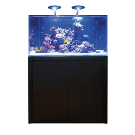 Pas Cher BLUE MARINE REEF 350 NOIR KIT COMPLET