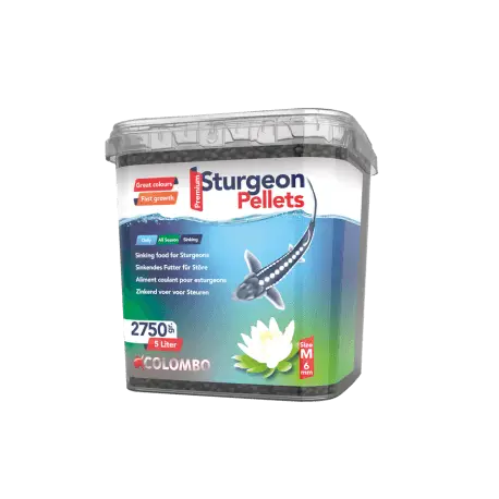 Acheter En Ligne COLOMBO ESTURGEON FOOD 5L LARGE – Nourriture esturgeon