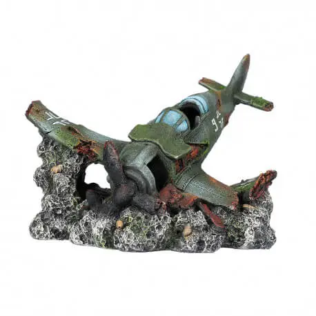 Bon Plan Aqua Della Crashed raven